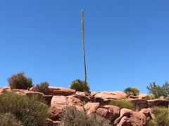 -科罗拉多大峡谷