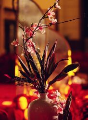 -花轿喜屋婚礼策划