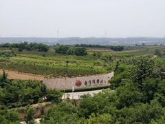 -西侯度遗址