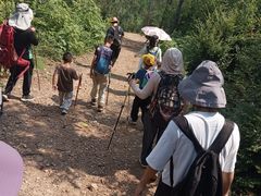 -青龙山国家森林公园