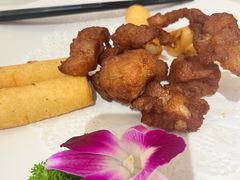 -锦粤宫·精致粤菜(深圳北站店)