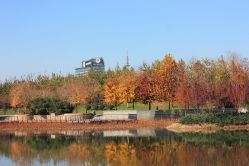 点击看大图 -大望京儿童游乐场