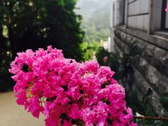 -龙口南山旅游景区