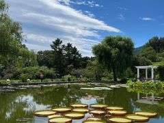 -国家植物园南园