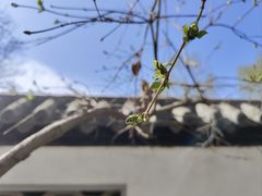 -团结湖公园