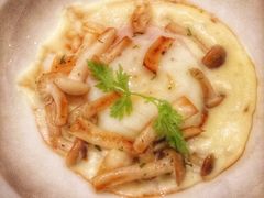 -蝶舍·MAISON PAPILLON