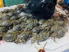 -塔湾北行农贸市场