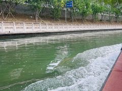 -皇家御河游(紫御湾码头)