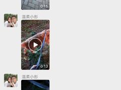 -宠爱国际动物医院· 猫科· 外科·中兽医(长白店)