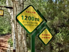 -党河风情线国家水利风景区