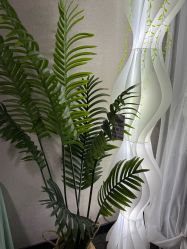 -己悦美学·皮肤管理
