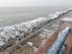 -悦海公园