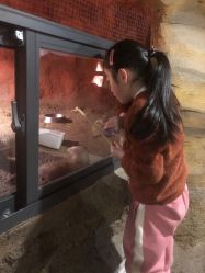 -酷嗒动物文化乐园(cutezoo西溪乐天城店)