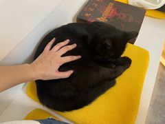 -五进制 Coffee Shop