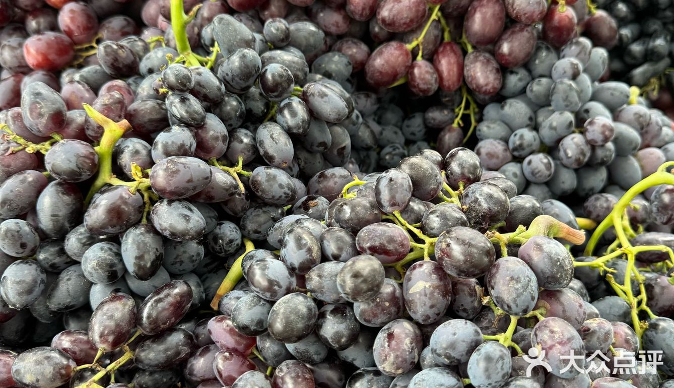 新疆的水果为什么这么好吃呢？