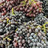 新疆的水果为什么这么好吃呢？