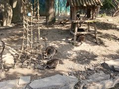 -宁波野生动物园