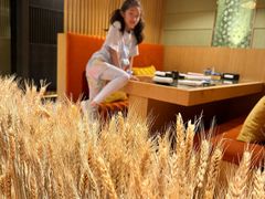 -西村日本料理(香格里拉饭店)