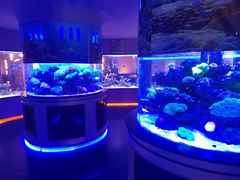 -上和臻品中国菜(花园街店)