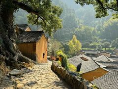-杨家堂村
