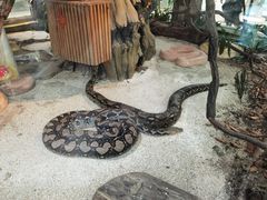 -大连森林动物园