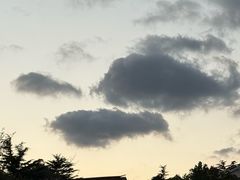 -妈妈手(山大总店)