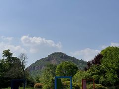 -桃花岛景观公园