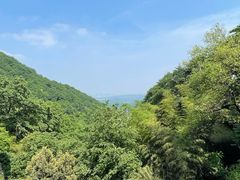 -韬光茶庵