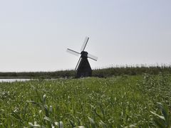-宁波杭州湾国家湿地公园