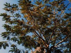 -一寨两国风景区