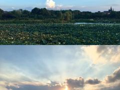 -龙寺生态园