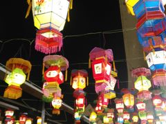 -锦江乐园舞狸花花游园会(夜场专享)