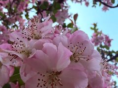 -成都南湖公园