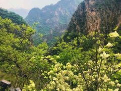 -圣莲山风景区