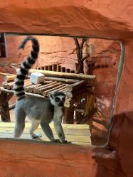 -Zoolung Zoolung动物主题公园(海信广场店)