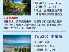 -亚龙湾热带天堂森林公园