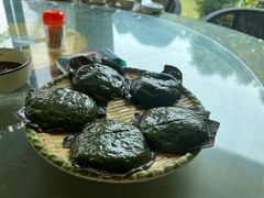 -生态苑农庄(十里画廊遇龙河店)