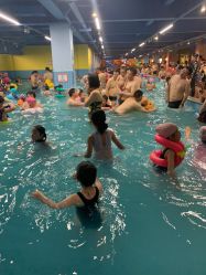 点击看大图 -宝燕乐园(闵行旗舰店)