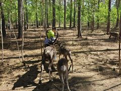 -北极村旅游风景区
