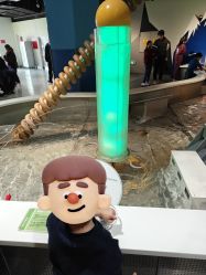 -北京科学中心儿童乐园