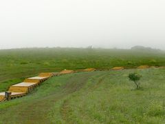 -御道口草原森林风景区