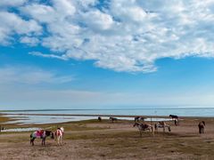 -青海湖国家重点风景名胜区