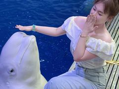 -秦皇岛乐岛海洋王国