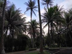 -红色娘子军纪念园