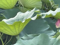 -东来顺饭庄(上地华联店)