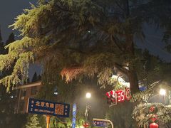 -北极阁公园