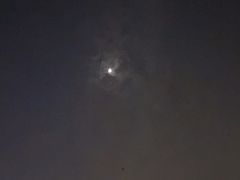 -Terrace 8 八号露台(波特曼丽思卡尔顿店)