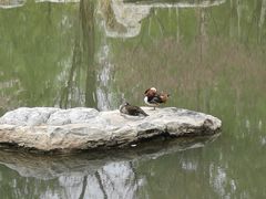 -东升八家郊野公园
