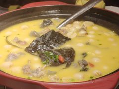 -潇湘甲鱼村(清河店)