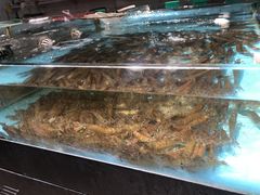 -海蓝海鲜馆(五四北店)